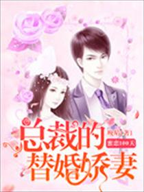 蜜恋100天：总裁的替婚娇妻小说全本阅读