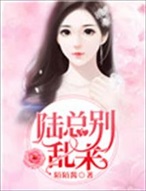小说阅读